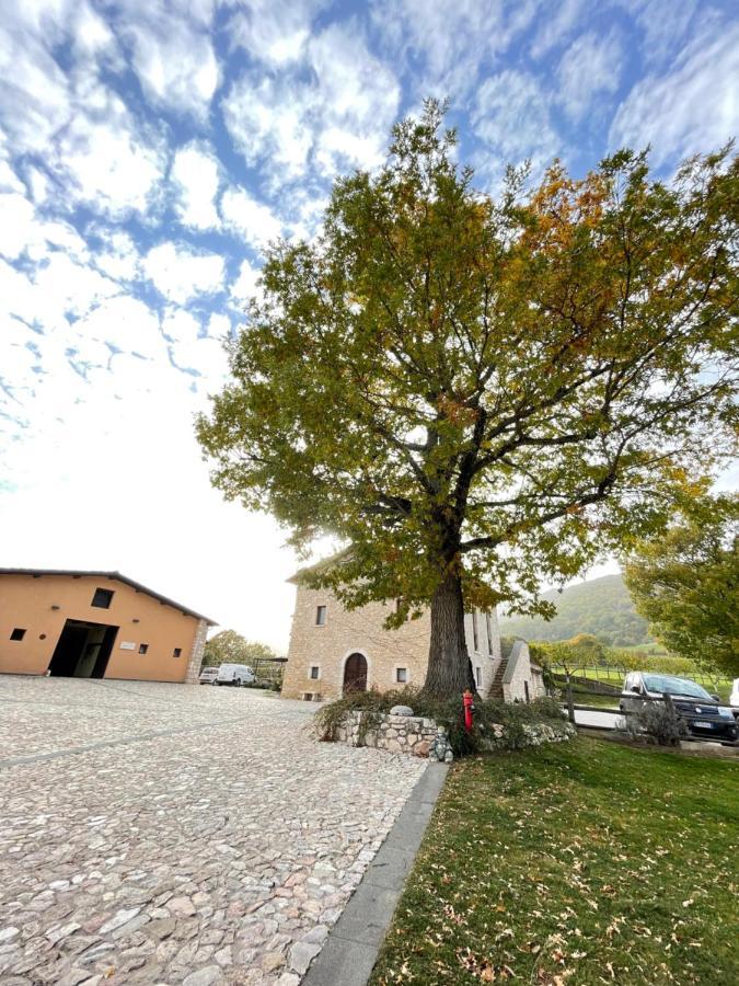 Alloggio per agriturismo Agristurismo Casale Montebello Monteleone di Spoleto