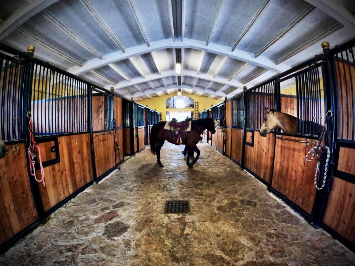 Séjour à la ferme Casale Montebello Monteleone di Spoleto
