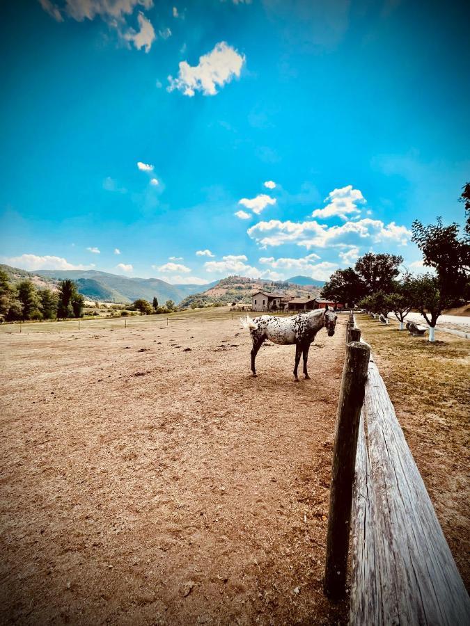 Casale Montebello Séjour à la ferme Monteleone di Spoleto