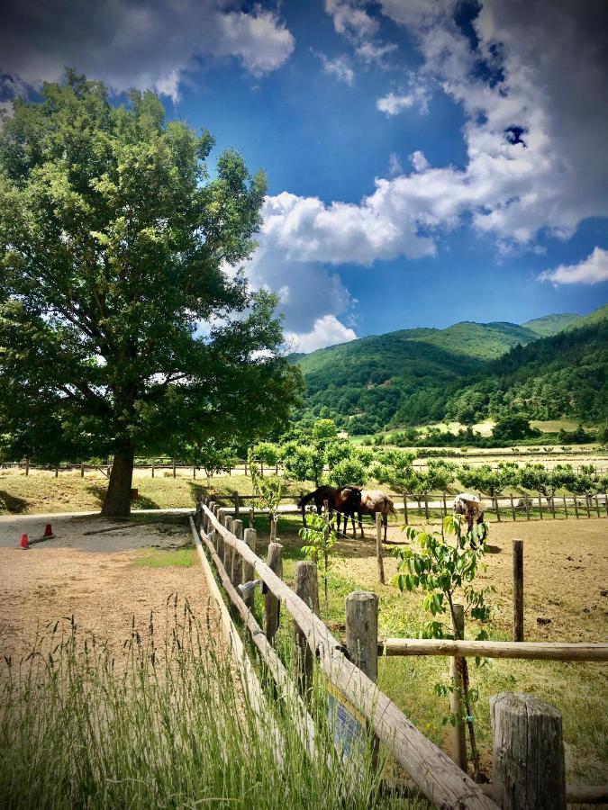 Casale Montebello *